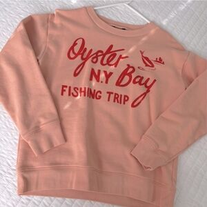 J. Crew Pink Crew Neck Sweatshirt